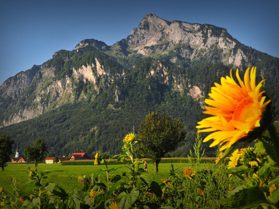Grünes Salzburg Natur & Erholung salzburg.info